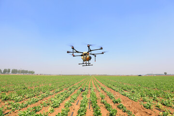 A farm drone sprays medicine on farmland, North China