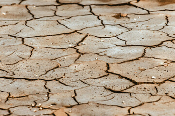 Tierra seca y agrietada cuarteada por el sol y la sequía