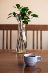 taza de café, mesa de madera y plantas