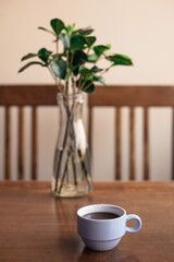 taza de café, mesa de madera y plantas