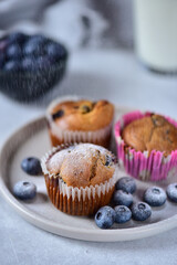 Blueberry muffins, sprinkled with powdered sugar, in paper tins, on a gray plate, in the background a bowl of blueberries and a glass of milk.