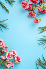 Concept of Mother's day holiday greeting gift with carnation bouquet on bright blue table background