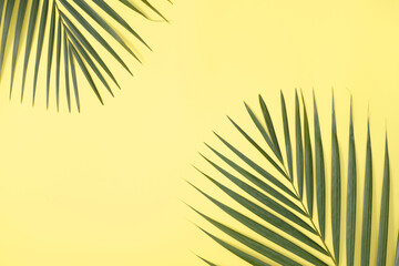 Tropical palm leaves isolated on bright yellow background.