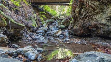 Beautiful landscape, bed of a mountain river with reflection and a stream of clear water in the...