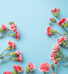 Concept of Mother's day holiday greeting gift with carnation bouquet on bright blue table background