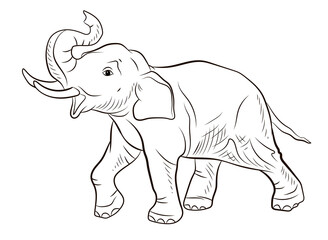 Fototapeta na wymiar Animals. Black and white image of a large elephant, coloring book for children.