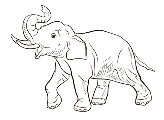 Animals. Black and white image of a large elephant, coloring book for children.