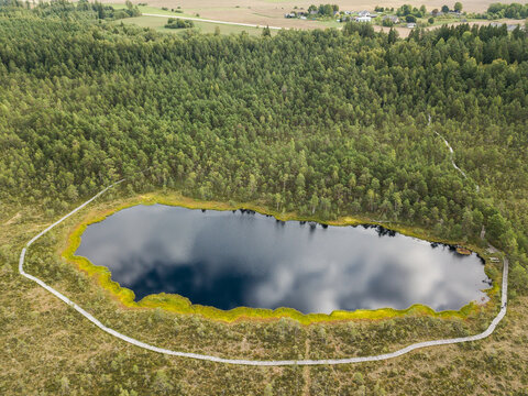 Kalnansu swamp lake with footbridge around, Kabile, Latvia