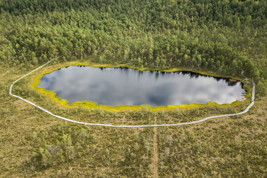 Kalnansu swamp lake with footbridge around, Kabile, Latvia