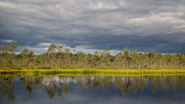 Kalnansu swamp with lake, Kabile, Latvia
