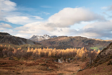 Majestic Winter landscape image view from Holme Fell in Lake District towards snow capped mountain ranges in distance in glorious evening light with Autumnal colors trees