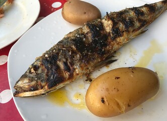  Lissabon Portugal Stadtteil Stadtviertel Santa Cruz - Fisch gegrillt mit Pellkartoffeln und Olivenöl am Nachmittag im Frühjahr zum Mittagessen in einer Gaststätte