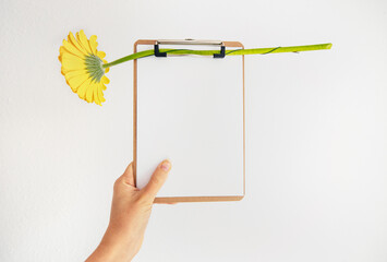 Female hand holding clipboard with empty sheet and yellow flower on white background. Spring allergy treatment. Medical prescription. Blank with yellow gerbera. Flowerd fast delivery. Online shopping