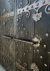 old metal door with handle and design