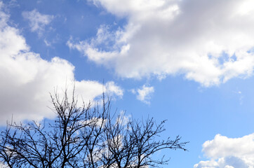 White fluffy clouds in a blue sky. Copy space.