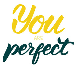 You are perfect. Hand drawn positive quote. Modern brush calligraphy. Isolated on white background.