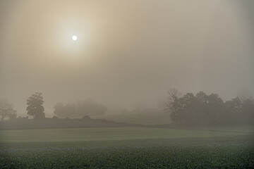 Strong fog above field