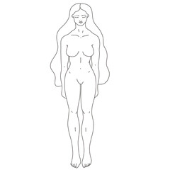 Woman body. Raster line illustration of a female. Raster woman for creating fashion prints, postcard, wedding invitations, banners, arrangement illustrations, books, covers.