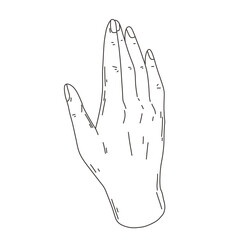 Woman's hand. Raster line illustration of a hand. Raster illustration for creating fashion prints, postcard, wedding invitations, banners, arrangement illustrations, books, covers.