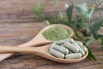 Andrographis capsule (Herbal capsule) and leaves on a wooden background, used for medical treatment,copy space.