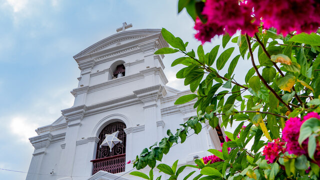 Church in background and flower in foreground makes beautiful composition