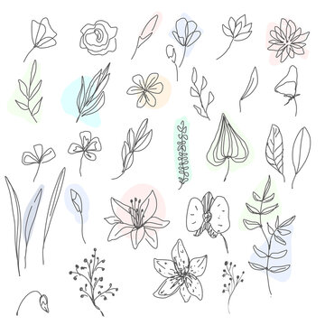 Set of flower and Botanical Icons line style. Included the icons as floral, nature, bouquets, flowers, bloom And Other Elements. customize color, easy resize