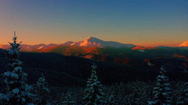 Flying near Winter forest. Red Sun Light Touches Mountain Tops. Aerial view of Snow Covered Hoverla or Goverla - peak of highest mountain of Ukraine. Beautiful Cinematic drone Footage. 