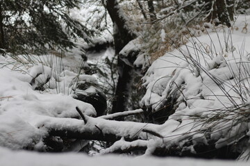 Schneelandschaft