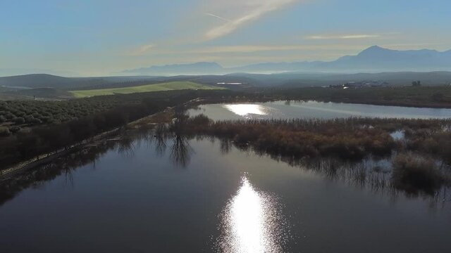 Laguna en el olivar