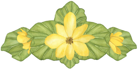 Watercolor composition of yellow spring flowers with leaves