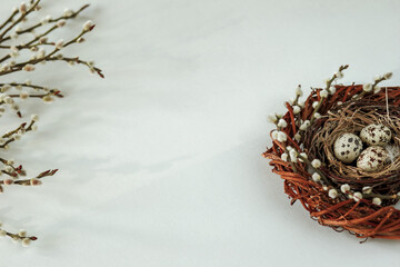 Nest with partridge eggs and willow twigs. Easter composition with a copy of the space