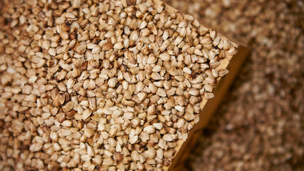 Various grain herbal medicinal herbs in the traditional market