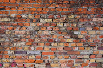  red brick walld brick wall - natural background texture. old brick wall recovered 