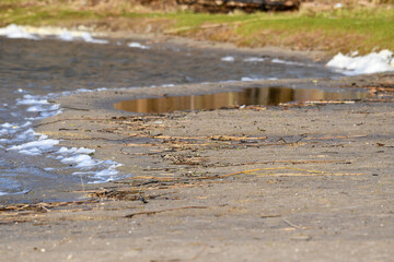 Ice sand branches on the beach of a lake