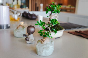 Ceramic statues of Chinese gods or emperor cute for decoration.