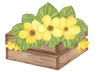 Watercolor bouquet of yellow spring flowers with leaves in wooden box