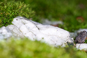 Granite is rich in quartz, mica and feldspar photographed in daylight in Bavaria