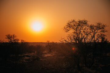 sunset sky in the African savanna