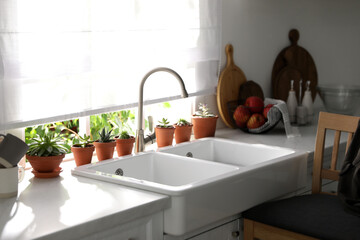 Different potted plants on window sill in kitchen
