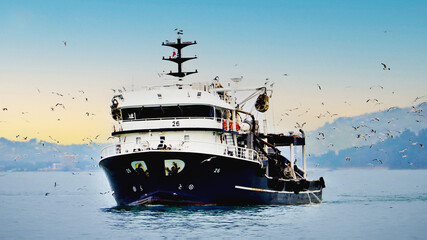 ship in the sea