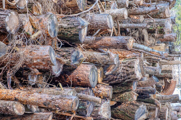 Detail of a stack of cut wood, preserved for air drying. It is used in mountain homes, for heating and cooking.