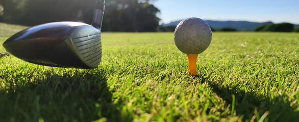 golf play in the fairway grass