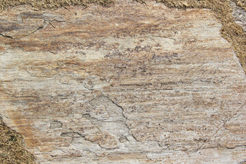 Obraz na płótnie Canvas natural travertine marble stone slab