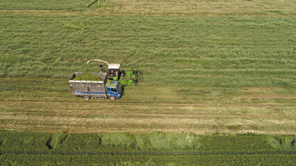 Fototapeta na wymiar Farmers use harvesters to harvest oats in a field, North China