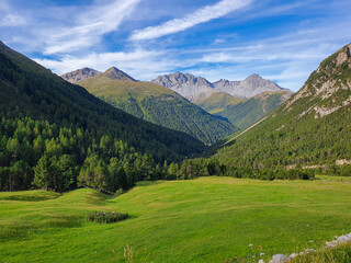 Fototapeta na wymiar Schweizer Natur in den Bergen von Graubünden, blauer Himmel, Sommer
