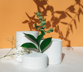 Natural minimal beauty pedestal.	
Empty cosmetics podiums on beige background with shadow and leaves for product. 