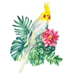 Poster parrots and tropical flowers on isolated white background, beautiful bird watercolor painting, illustration