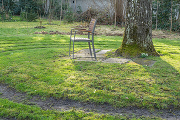 Stuhl unter einem Baum, Spiralenweg, Klostergarten, Luzern, Schweiz
