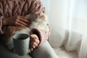 Woman with cute fluffy cat and cup indoors, closeup