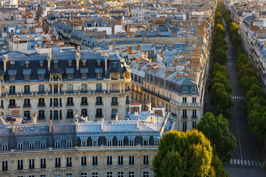 Elevated view of Paris 16th arrondissement with its haussmannian buildings, rooftops and tree-lined Victor Hugo Avenue. France